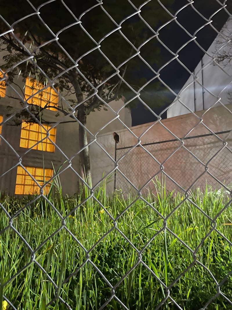 Bay Street Urban Lot