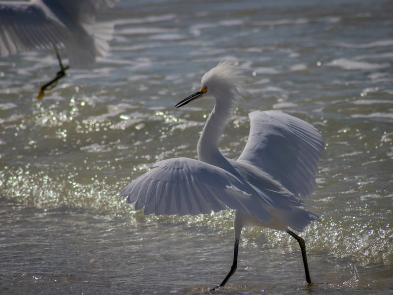 Indian Shores Beach