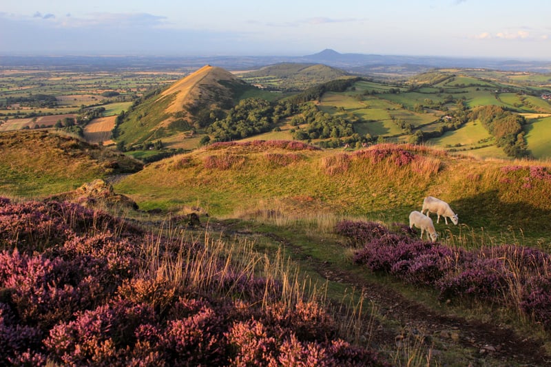 Long Mynd Overlook