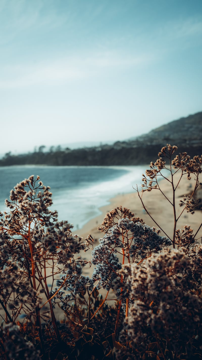 Laguna Main Beach Overlook