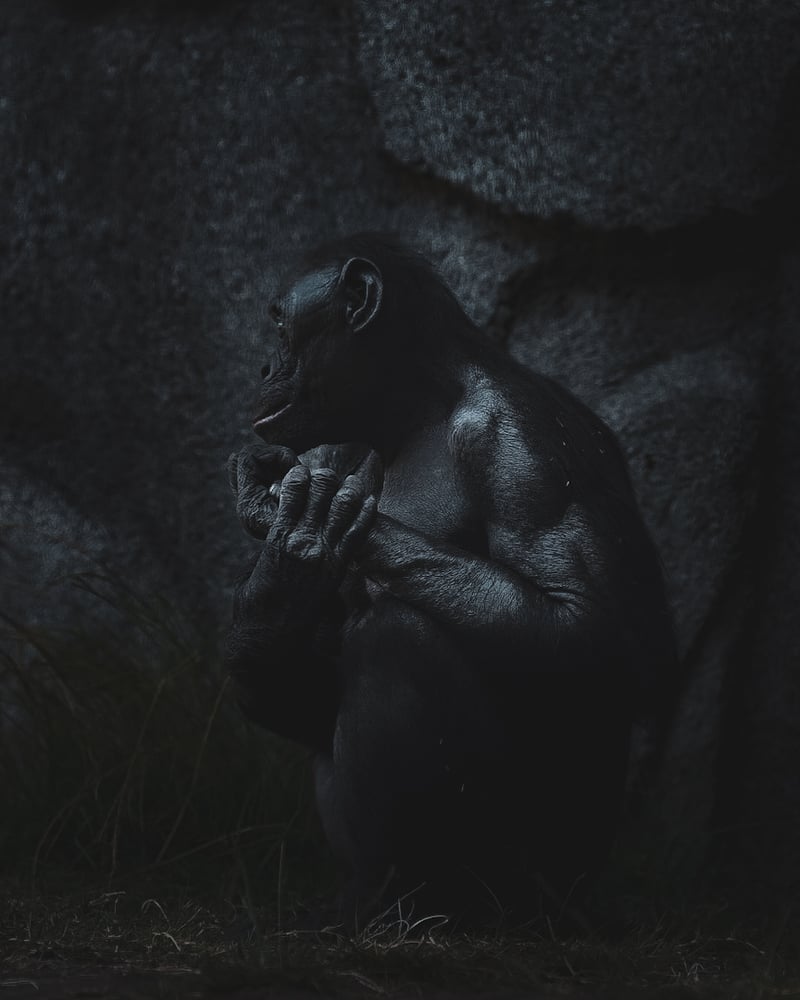 San Diego Zoo