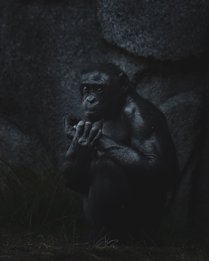 San Diego Zoo