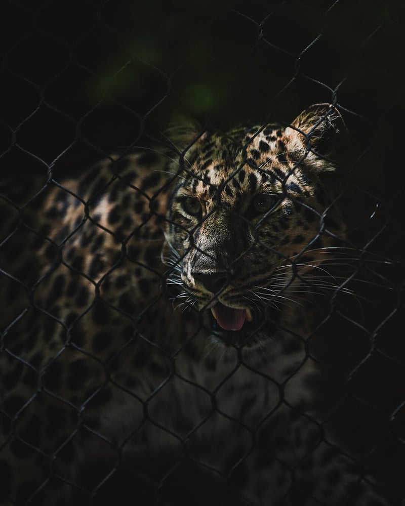 San Diego Zoo