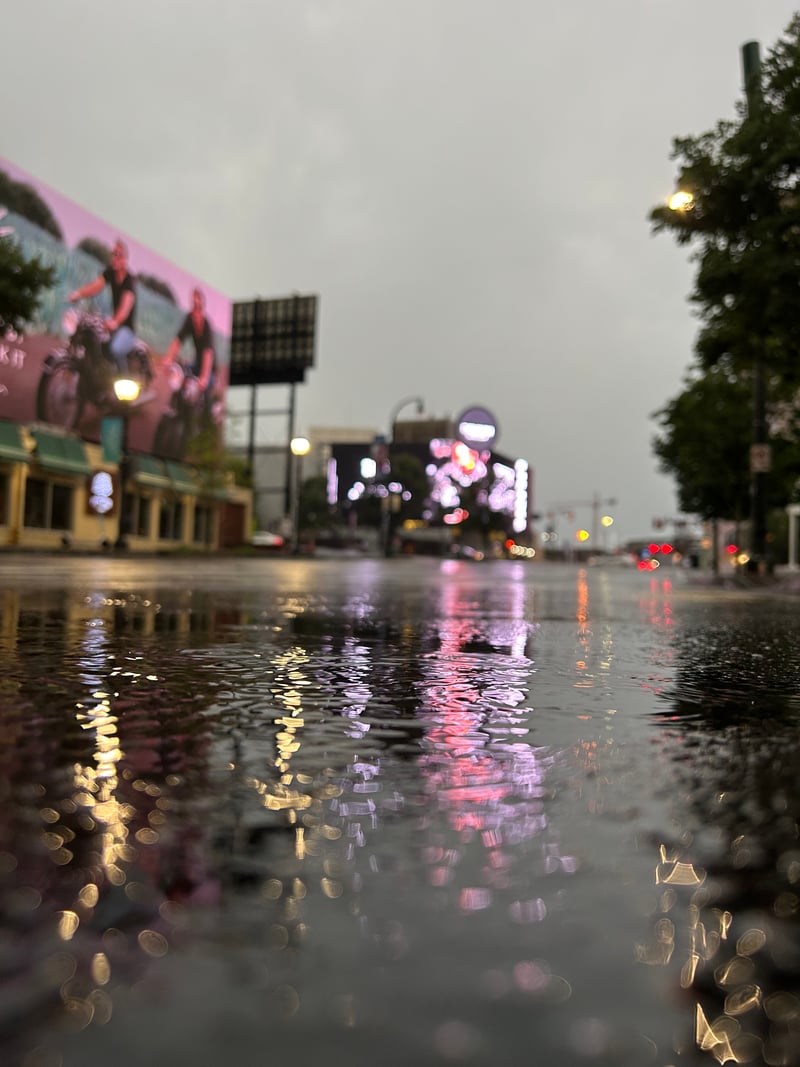 Walton Street Reflections