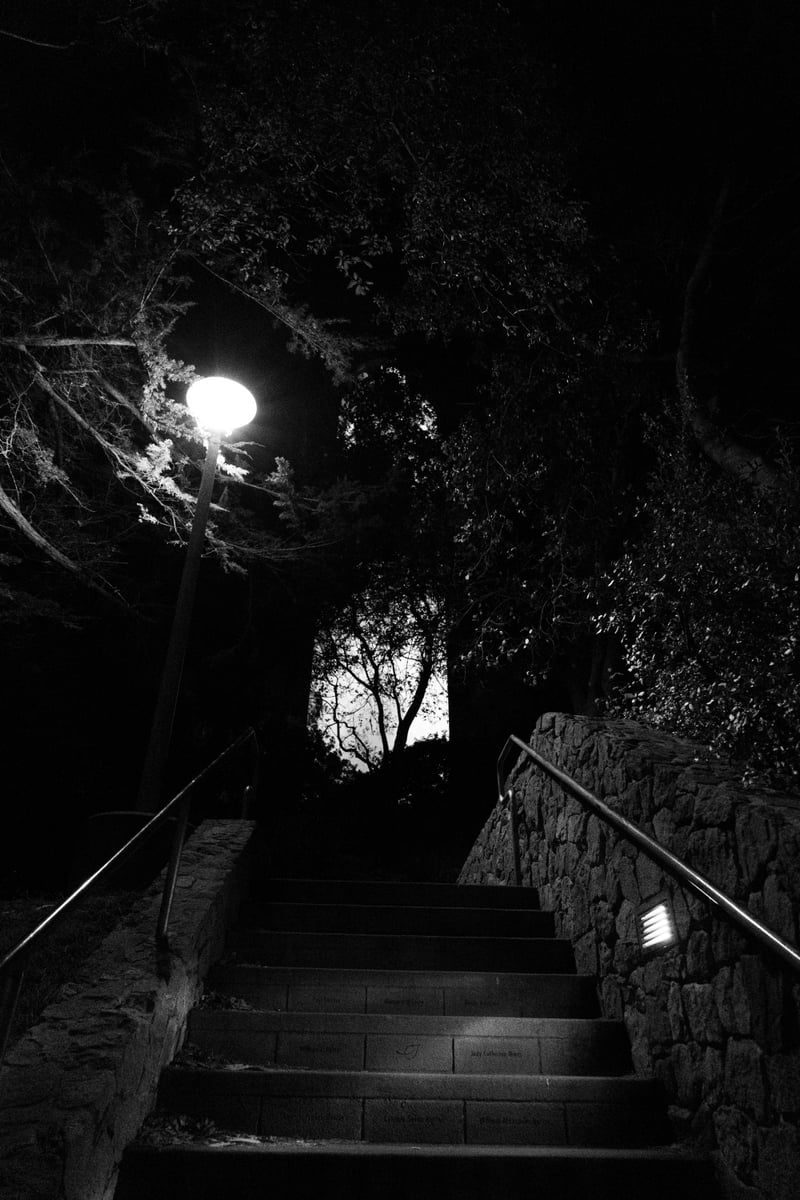Coit Tower Steps