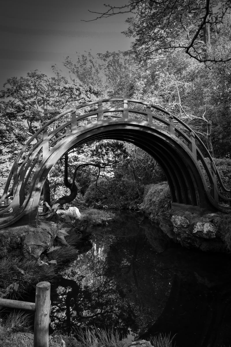Japanese Tea Garden Drum Bridge