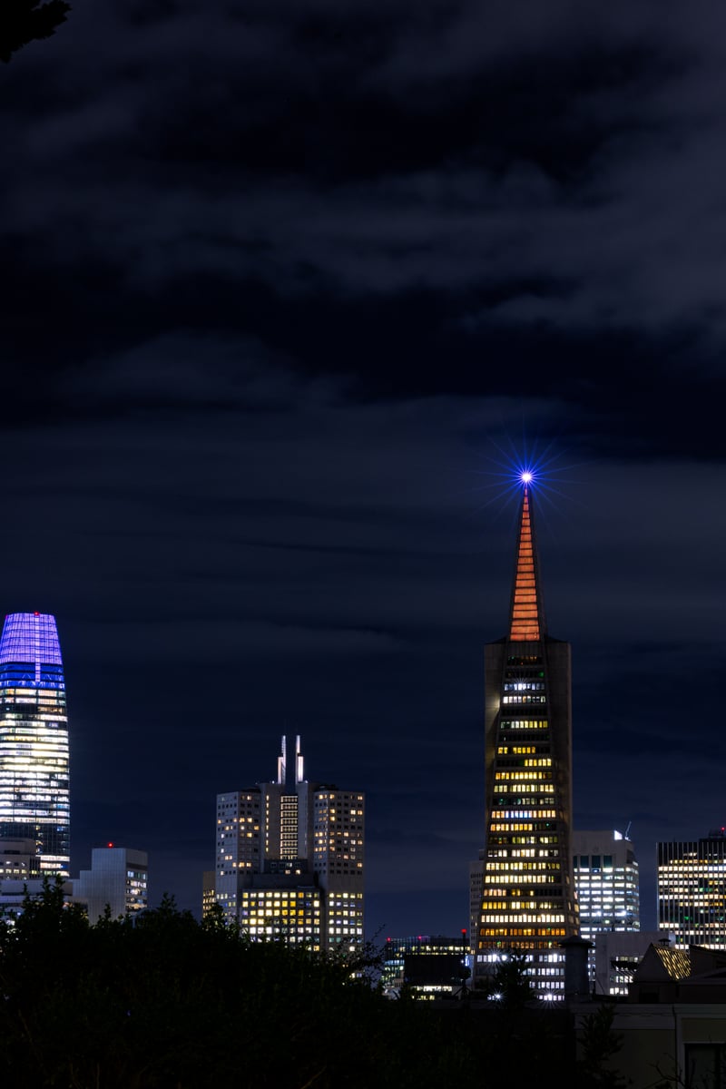 Telegraph Hill Skyline View