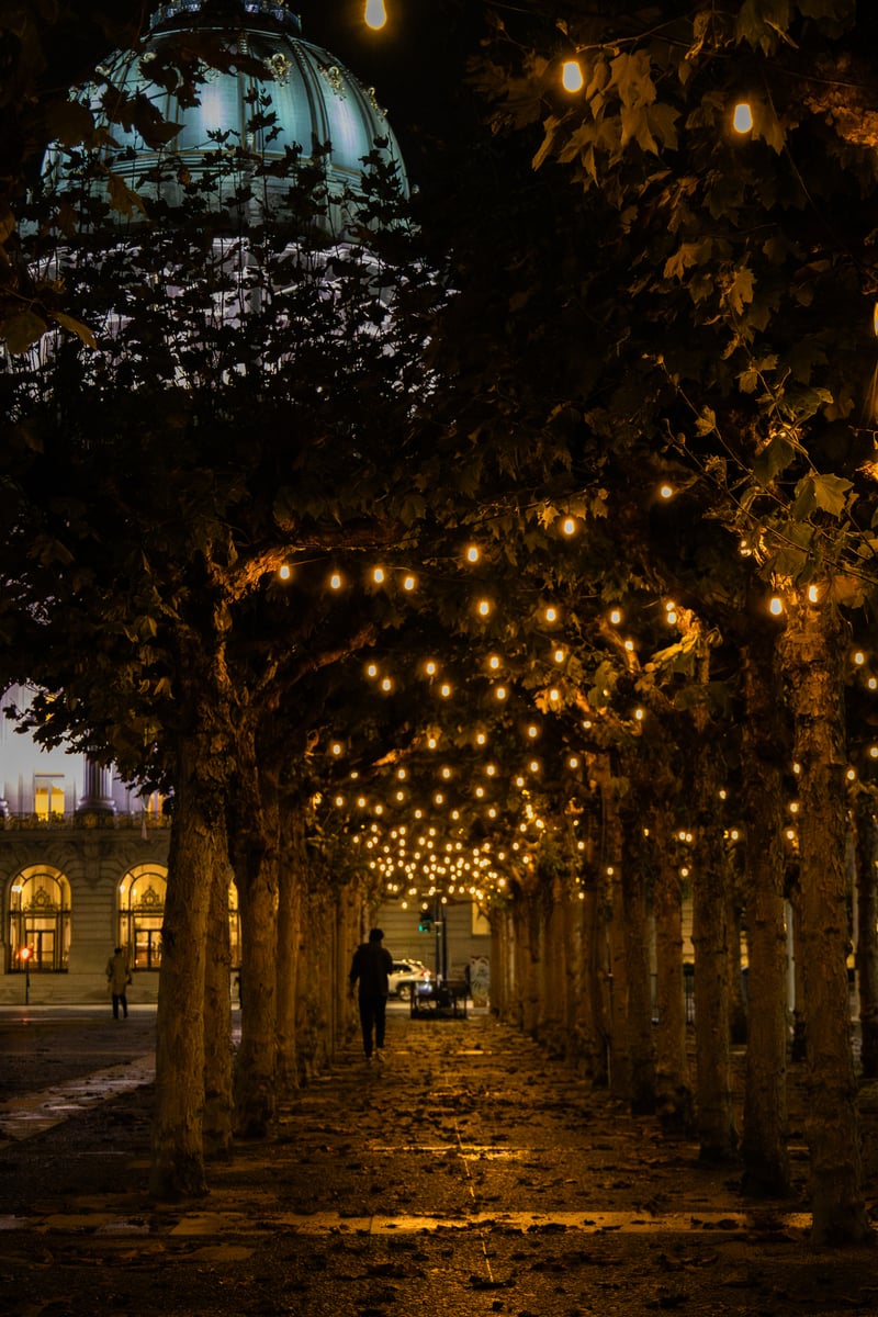 San Francisco City Hall