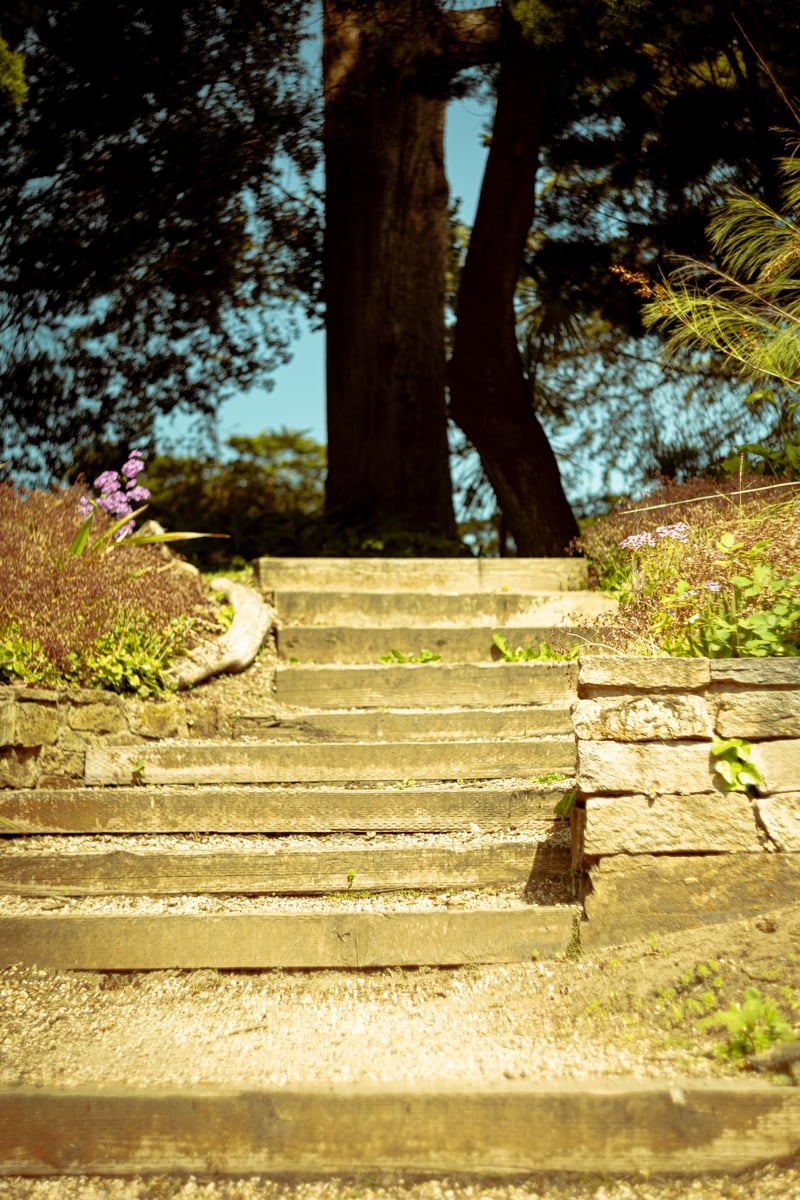 Golden Gate Park Garden Path