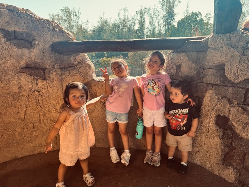 Grape Day Park Play Area