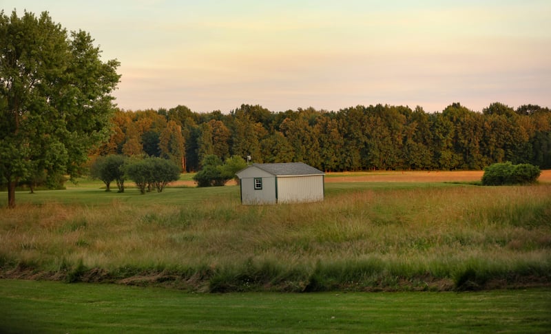 Churchville Meadow Shed