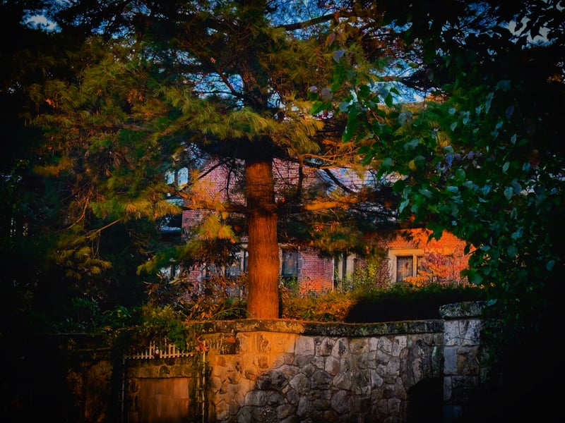 Stan Hywet Hall & Gardens