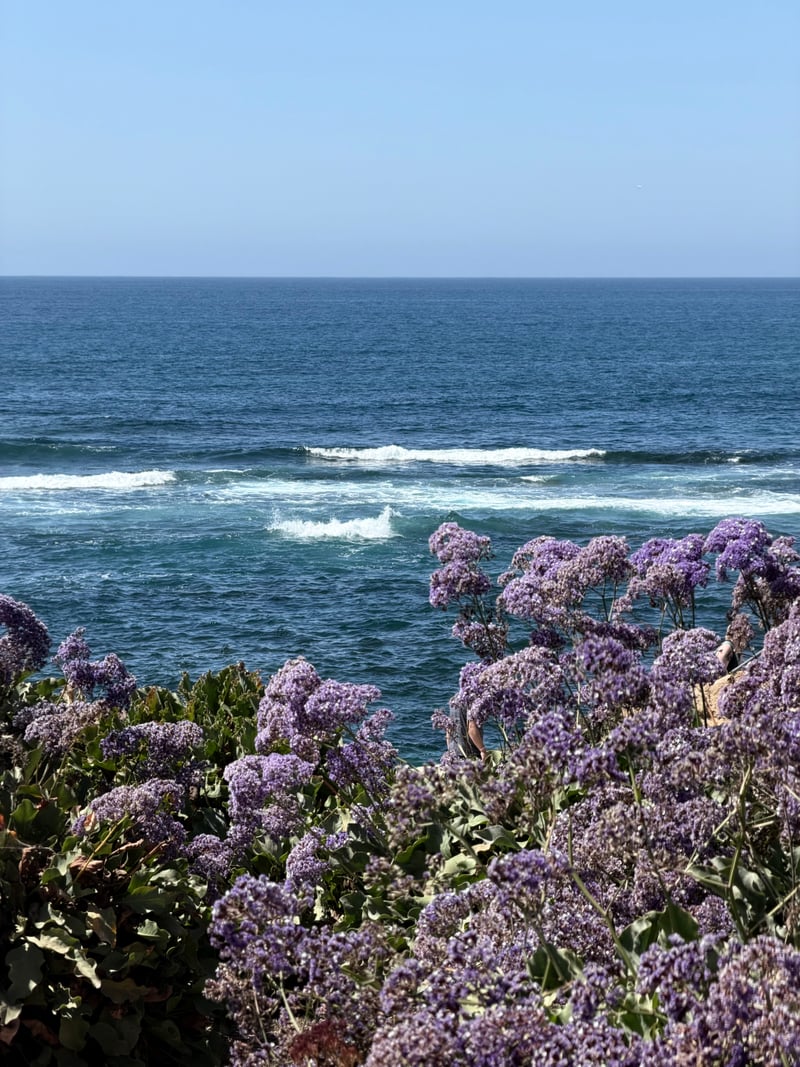 La Jolla Coastline Overlook