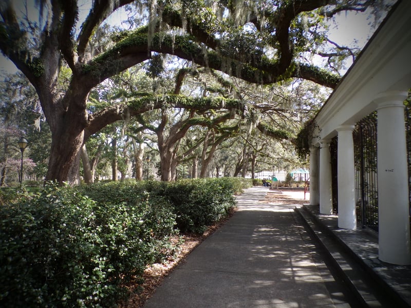 Forsyth Park