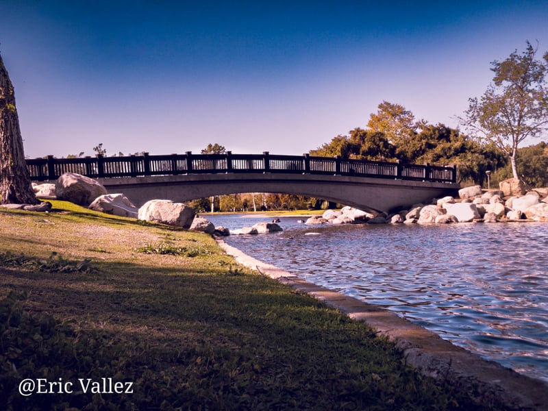 Mason Regional Park Bridge