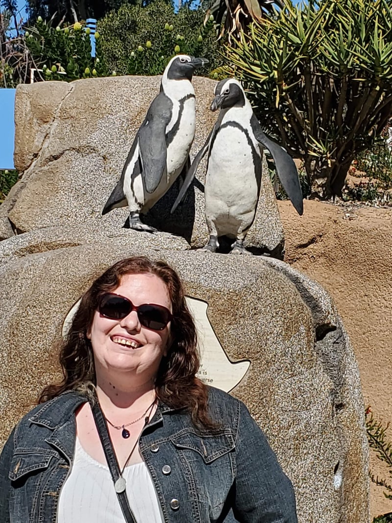 Penguin Exhibit Photo Spot