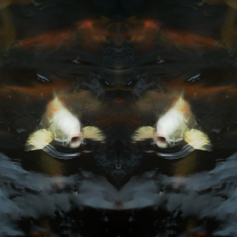 Garden Grove Koi Pond