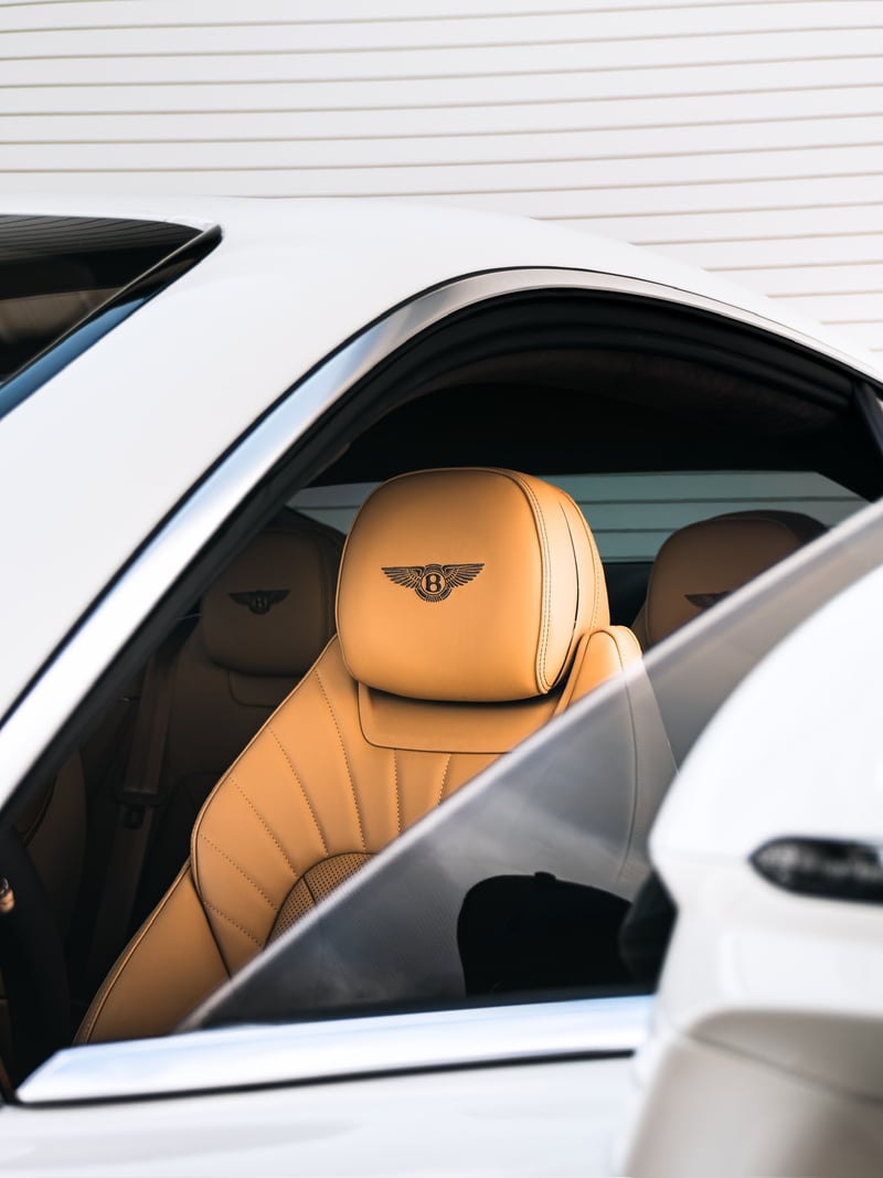 Palm Harbor Luxury Auto Detail