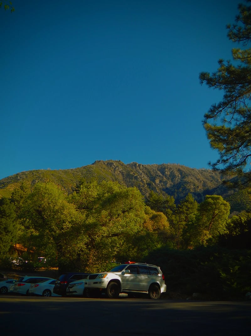 Oak Glen Mountain View