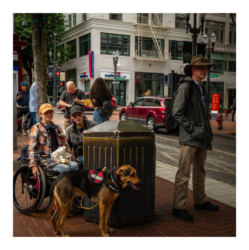 Pioneer District Transit Mall