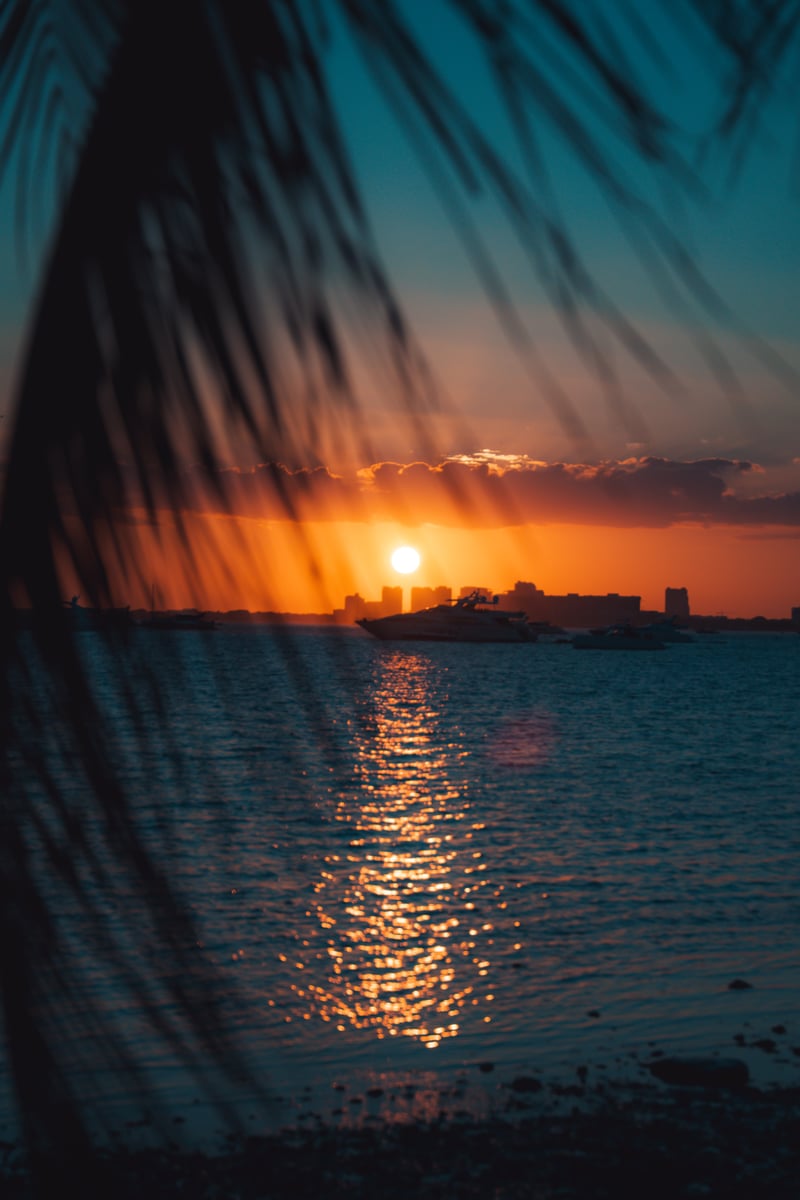 Rickenbacker Causeway Shoreline