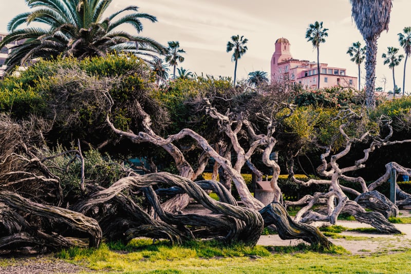 Ellen Browning Scripps Park