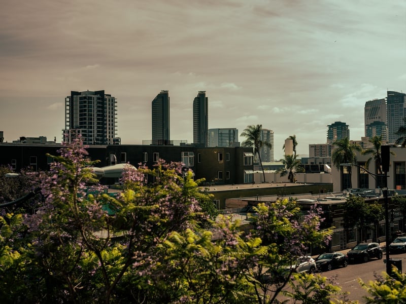 East Village Skyline Overlook