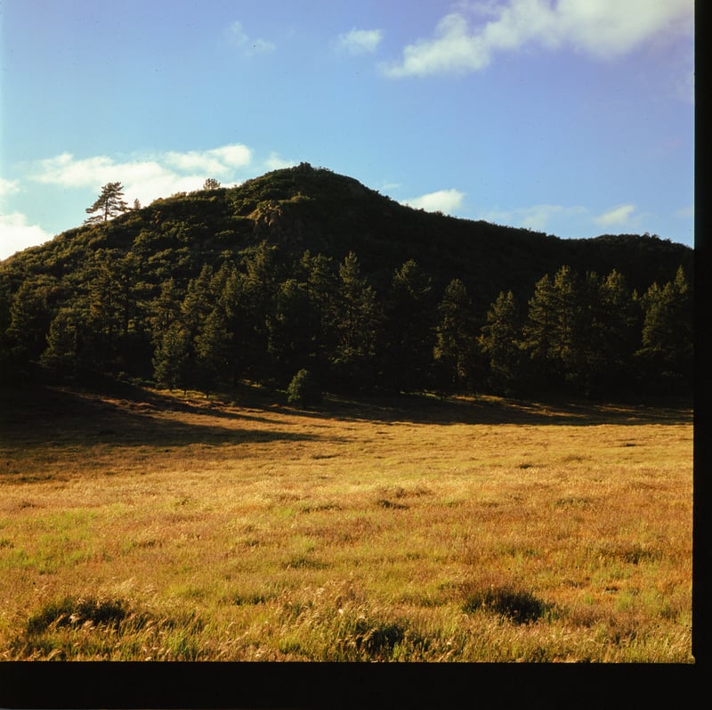 Mount Laguna Meadows