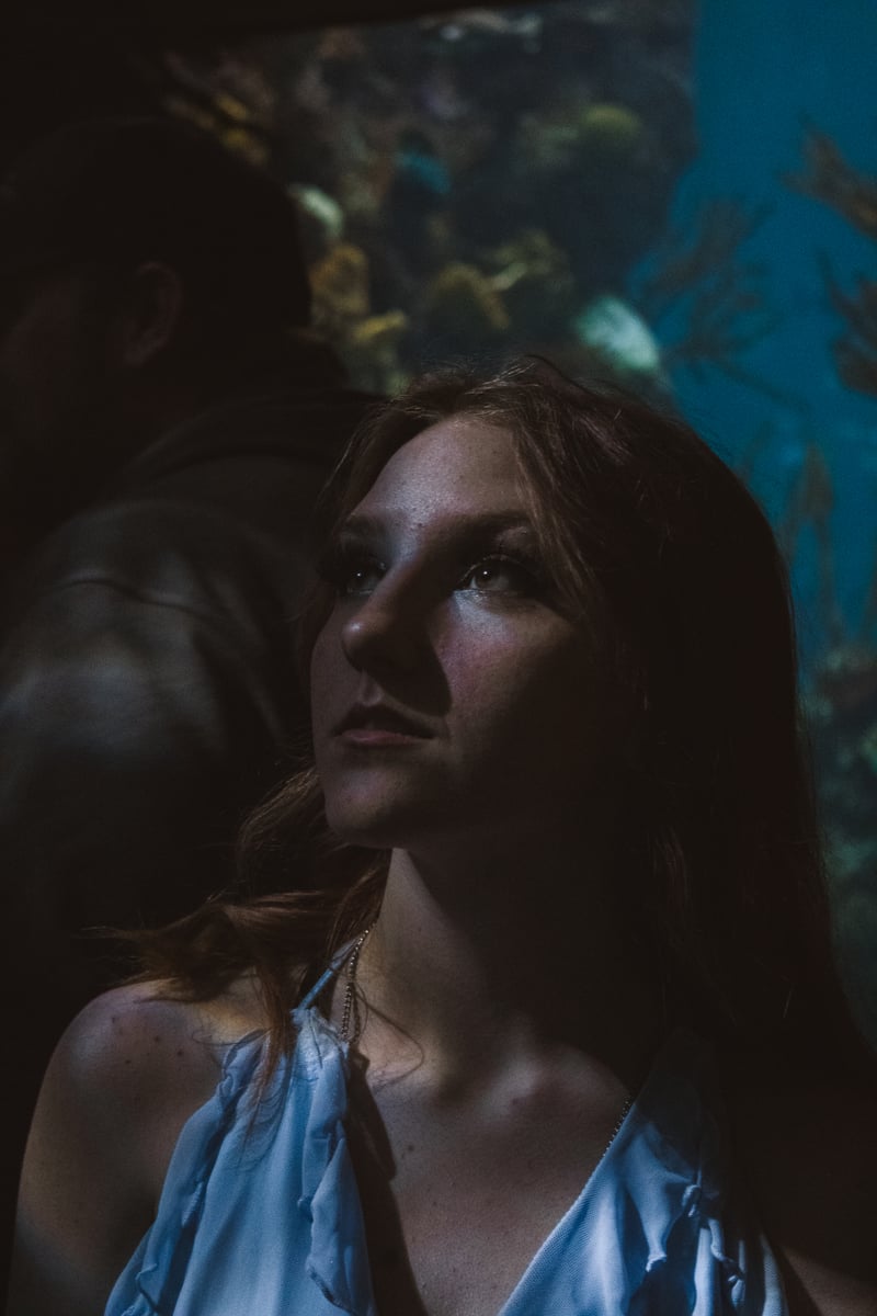 Shedd Aquarium
