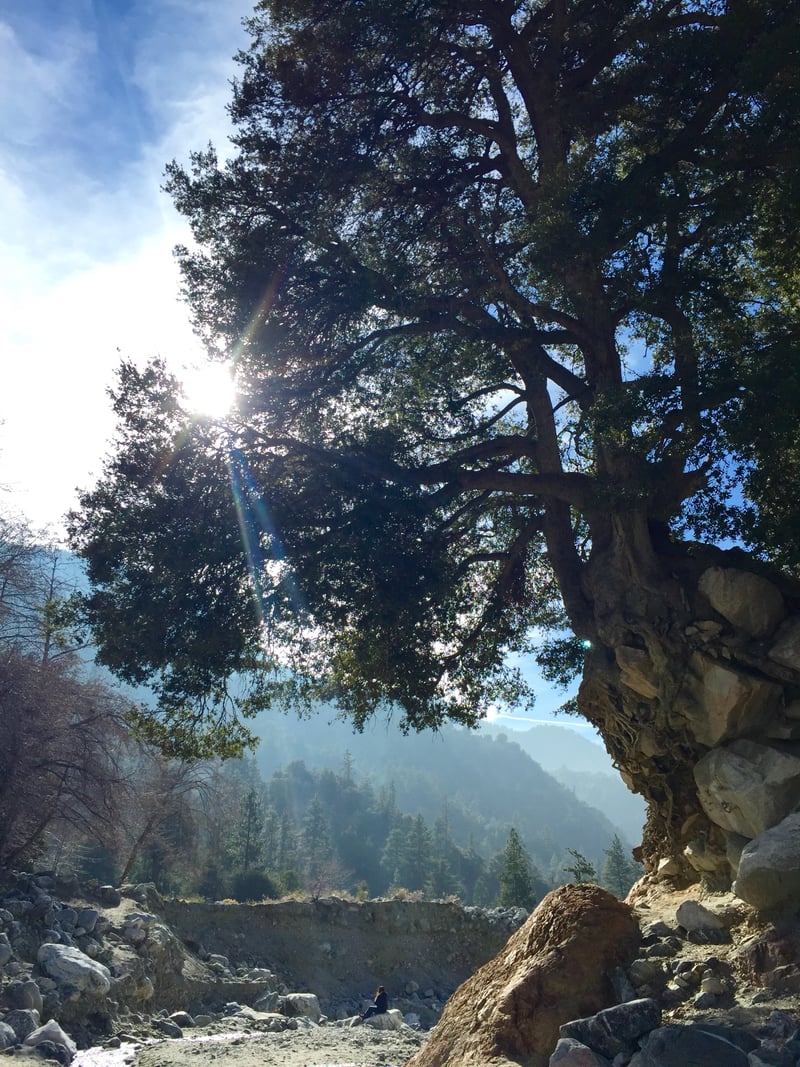 Banning Canyon Wash