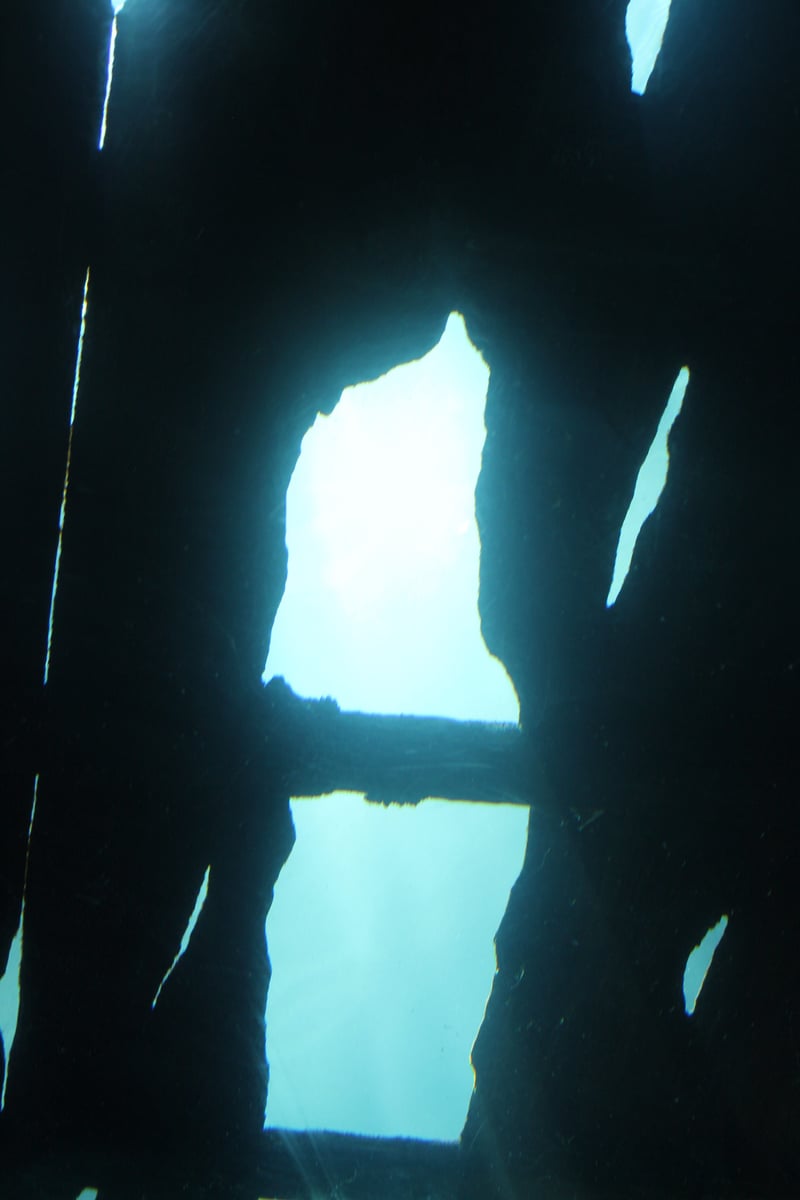Georgia Aquarium