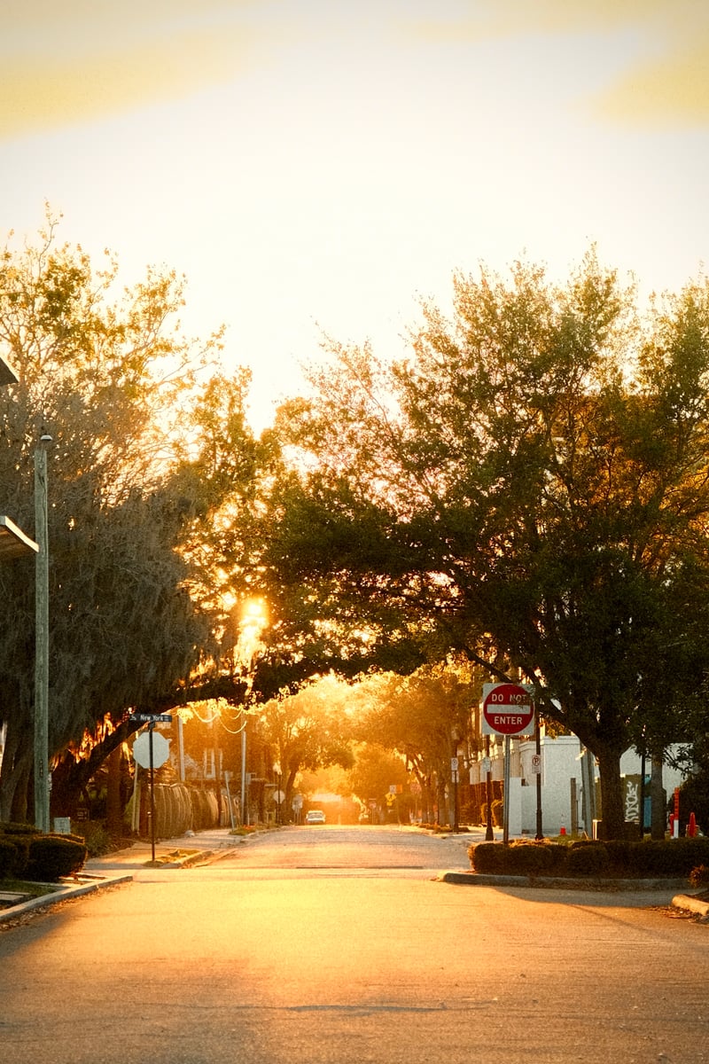 New York Avenue Tree Canopy