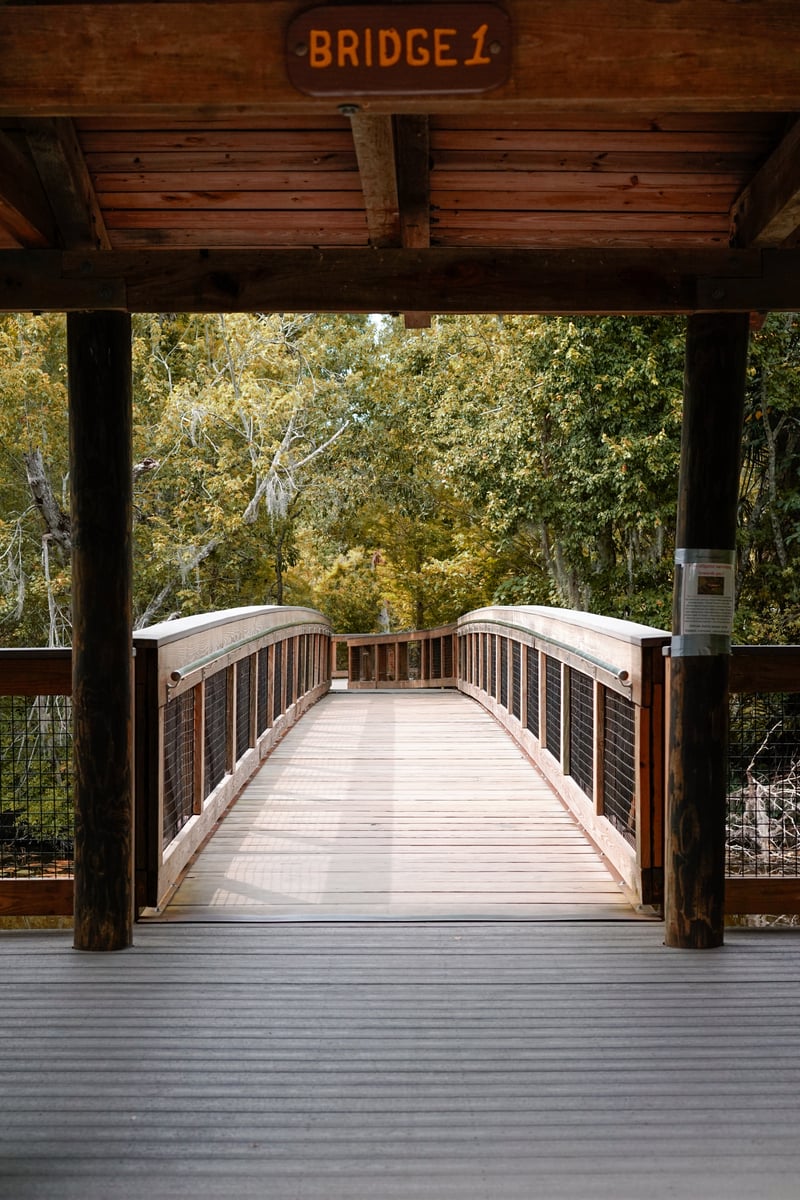 Sawgrass Lake Park Boardwalk