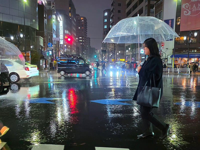 Jinnan Street Crossing