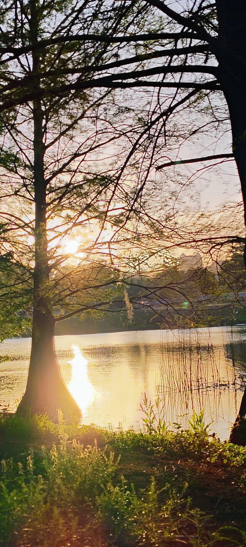 Lake Weldona