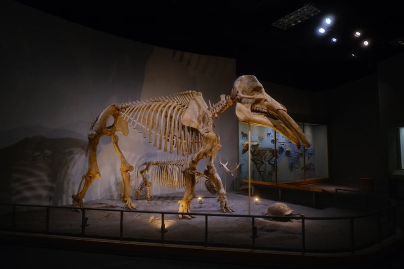 Denver Museum of Nature & Science