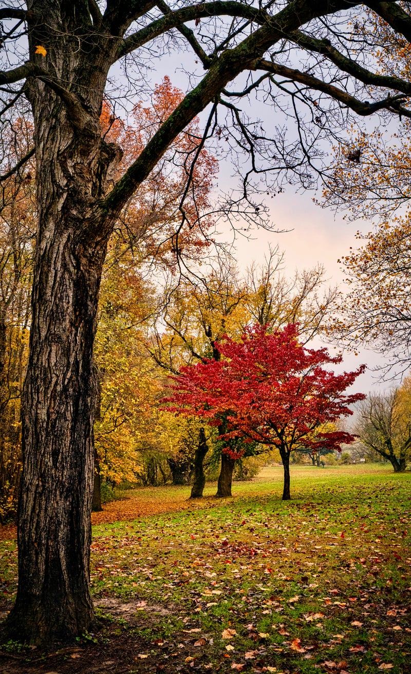Fort Boonesborough State Park