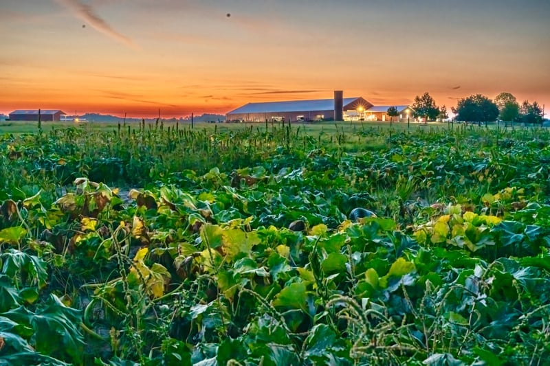 Baldwin Farms