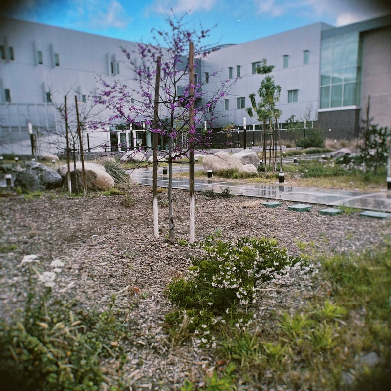 Golden West College Courtyard