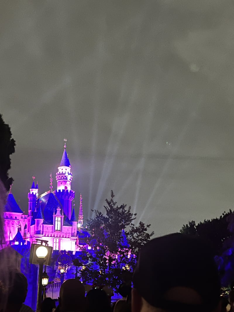 Sleeping Beauty Castle
