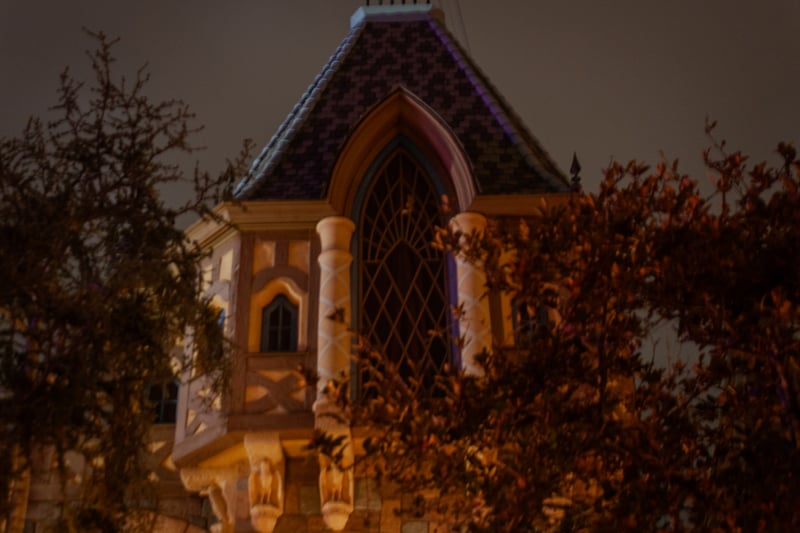 Sleeping Beauty Castle