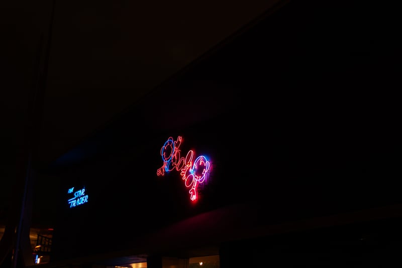 The Star Trader, Disneyland