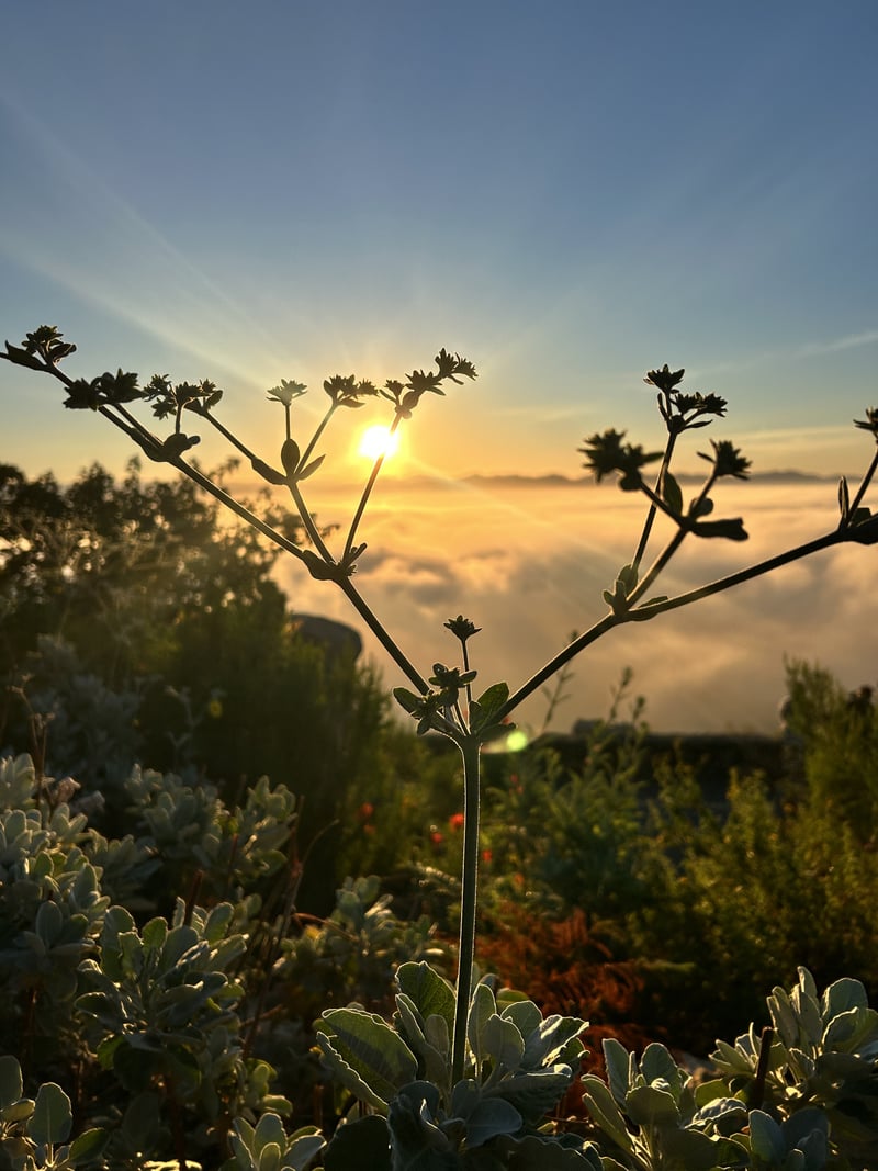 Mount Helix Park