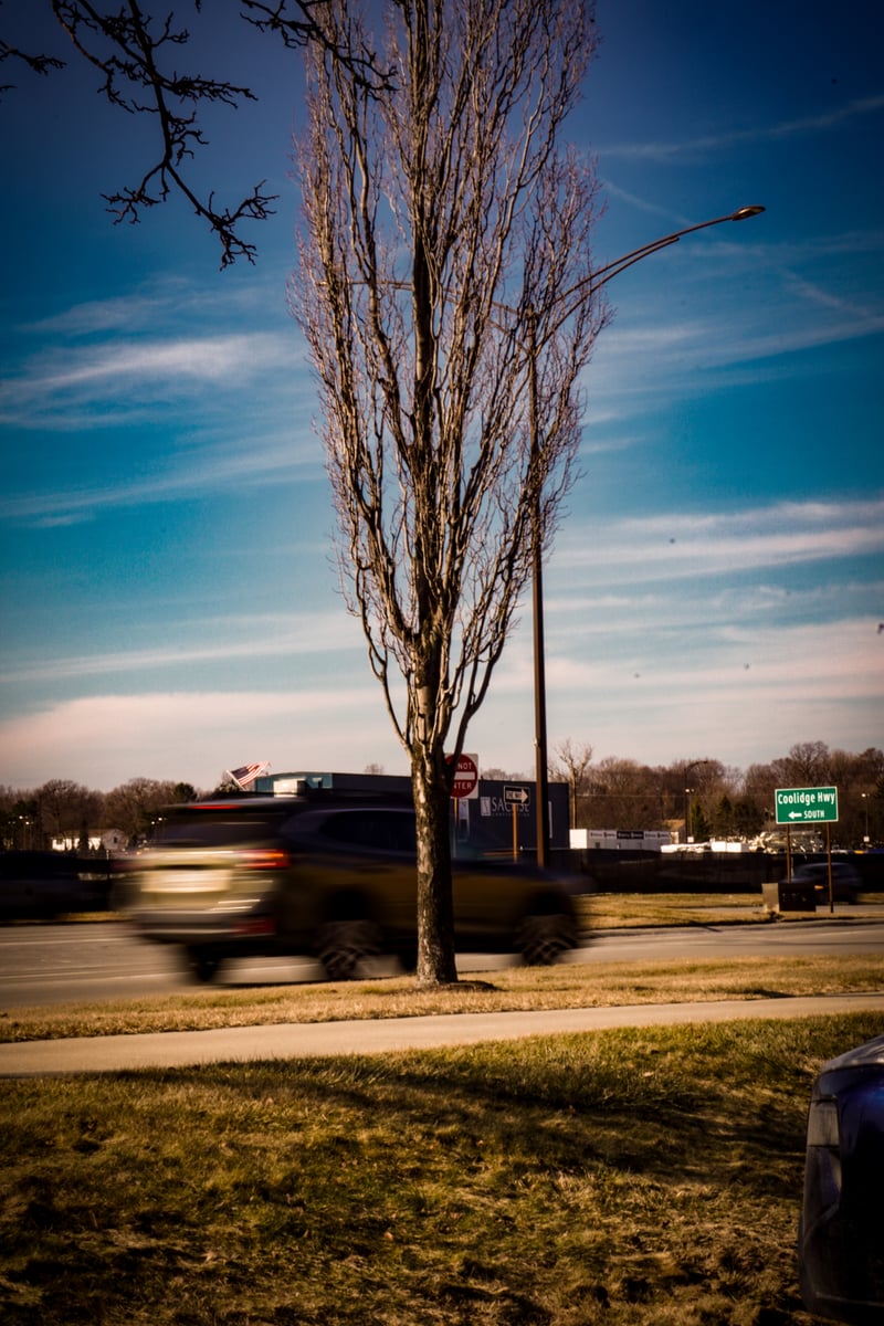 Sterling Heights Roadside Motion
