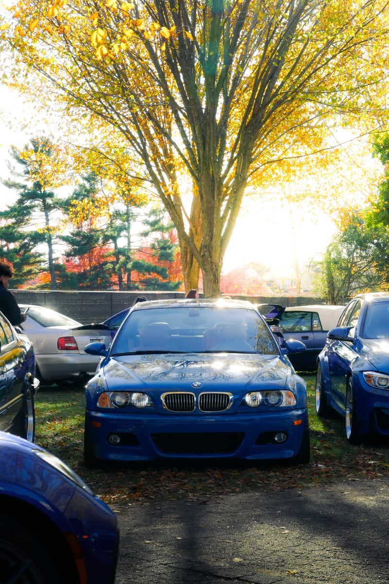 Central Park Automotive Meet