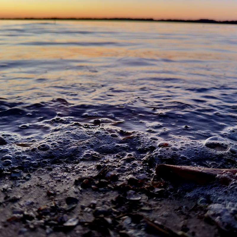 Boca Ciega Bay Shoreline