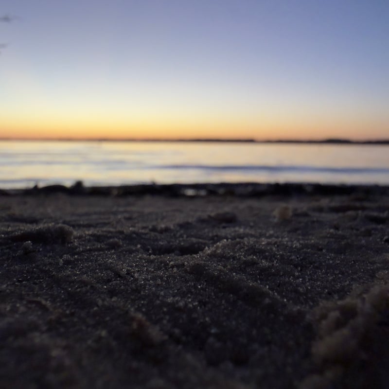 Boca Ciega Bay Shoreline