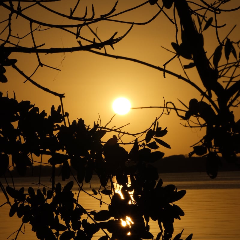 Boca Ciega Bay Sunset Overlook