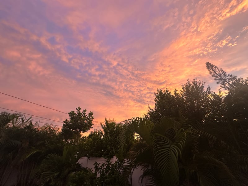 St. Petersburg Suburban Sunset