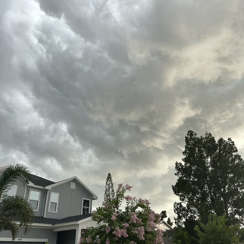 St. Petersburg Suburban Sky